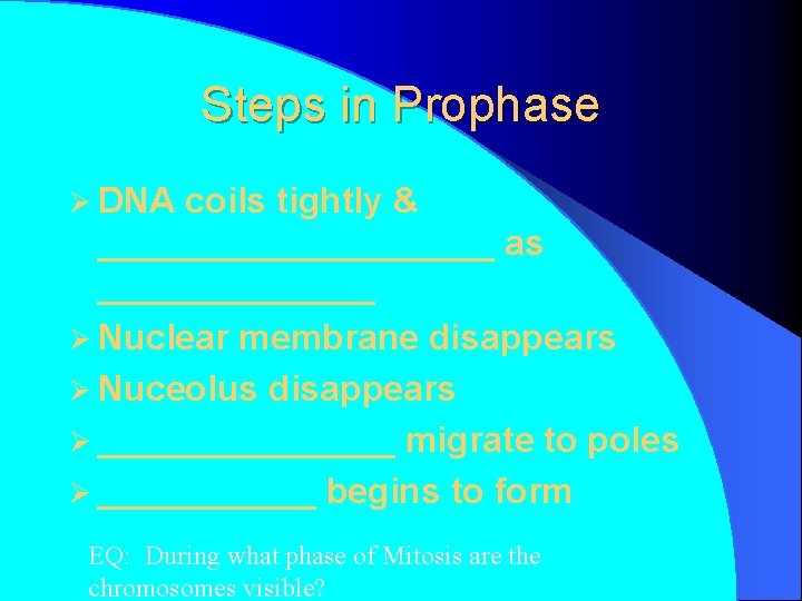 Steps in Prophase Ø DNA coils tightly & __________ as _______ Ø Nuclear membrane