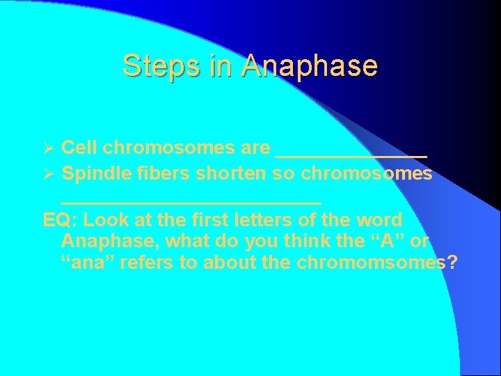 Steps in Anaphase Cell chromosomes are _______ Ø Spindle fibers shorten so chromosomes ____________