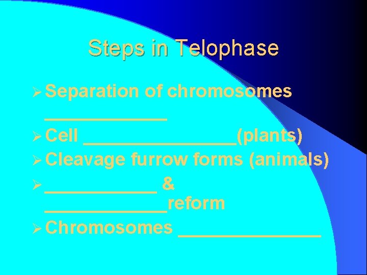 Steps in Telophase Ø Separation of chromosomes ______ Ø Cell ________(plants) Ø Cleavage furrow