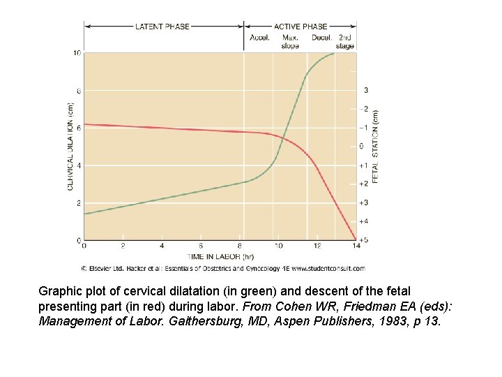 Graphic plot of cervical dilatation (in green) and descent of the fetal presenting part