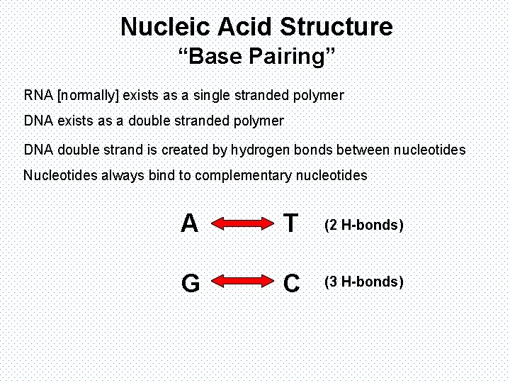 Nucleic Acids DNA RNA The Double Helix DNA