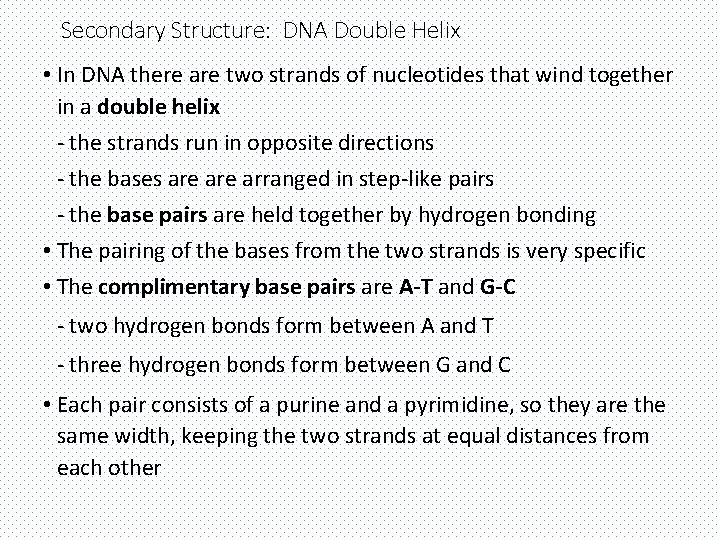 Secondary Structure: DNA Double Helix • In DNA there are two strands of nucleotides