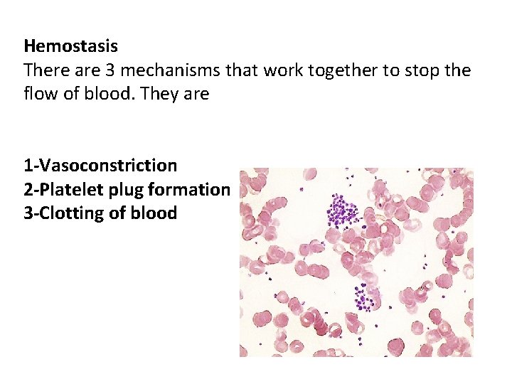 Hemostasis There are 3 mechanisms that work together to stop the flow of blood. Hemostasis There are 3 mechanisms that work together to stop the flow of blood.