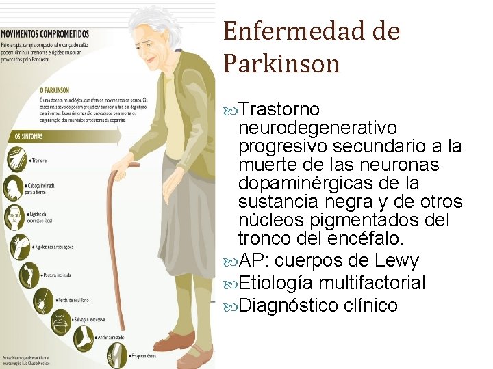 Enfermedad de Parkinson Trastorno neurodegenerativo progresivo secundario a la muerte de las neuronas dopaminérgicas