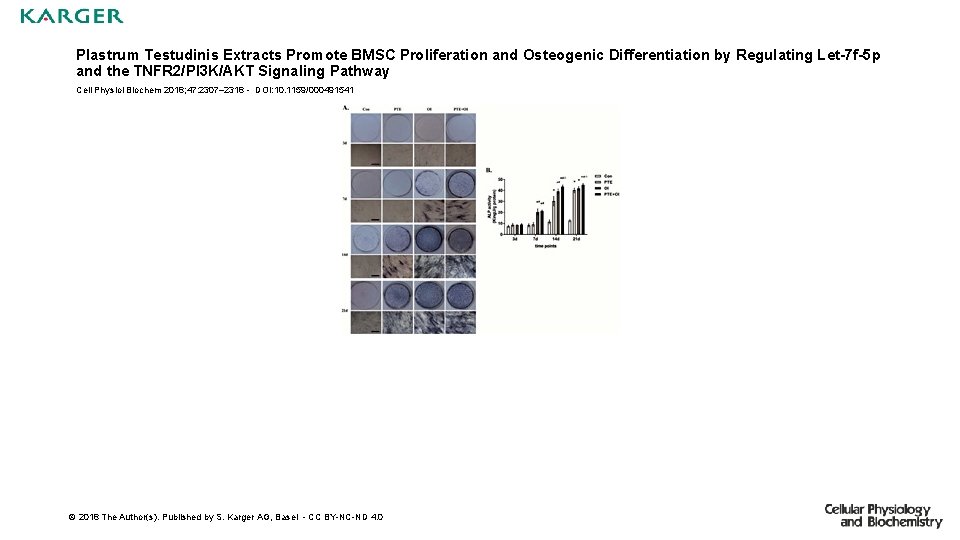 Plastrum Testudinis Extracts Promote BMSC Proliferation and Osteogenic Differentiation by Regulating Let-7 f-5 p