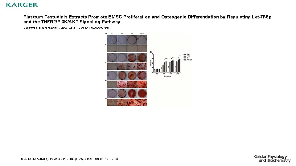 Plastrum Testudinis Extracts Promote BMSC Proliferation and Osteogenic Differentiation by Regulating Let-7 f-5 p