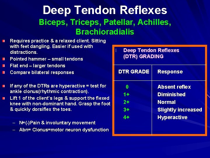 Deep Tendon Reflexes Biceps, Triceps, Patellar, Achilles, Brachioradialis Requires practice & a relaxed client.