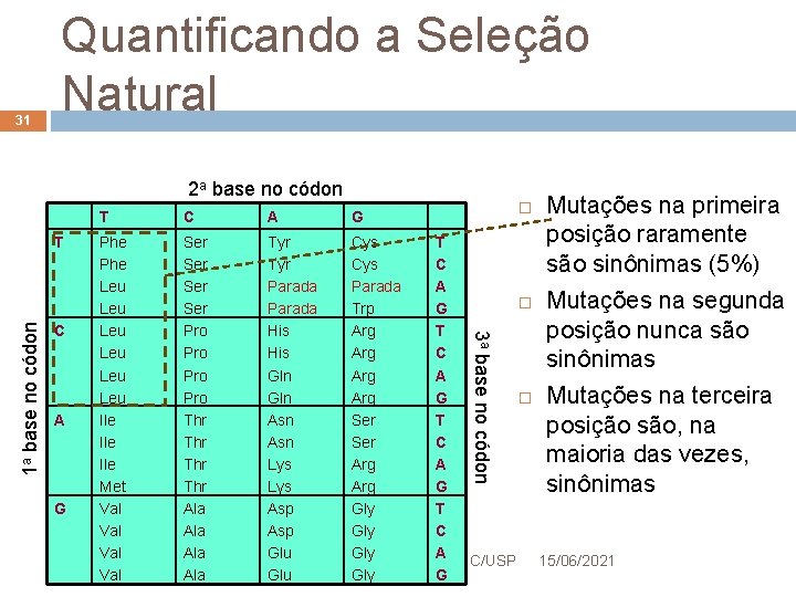 31 Quantificando a Seleção Natural 2 a base no códon C A G G