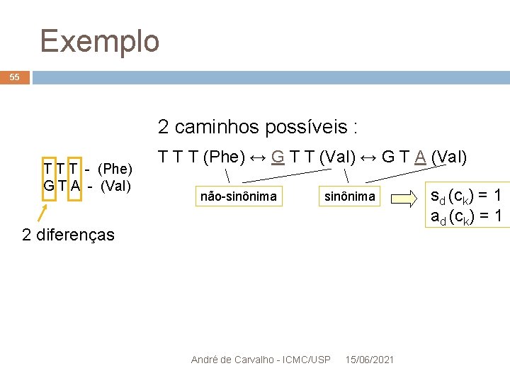 Exemplo 55 2 caminhos possíveis : T T T - (Phe) G T A