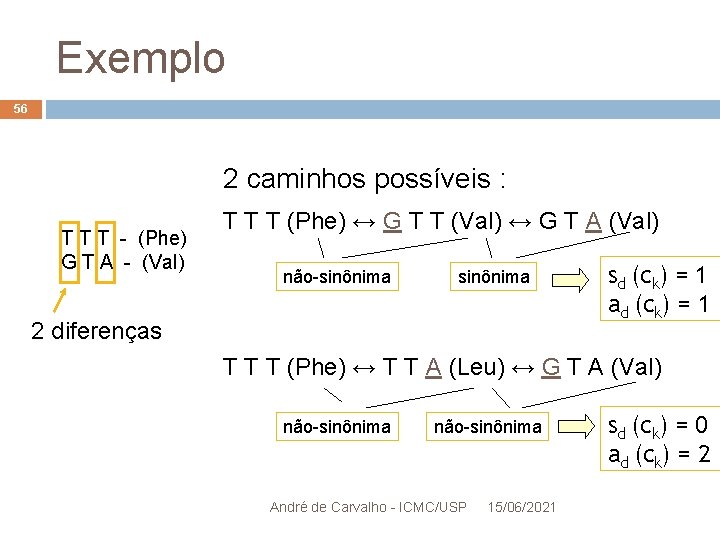 Exemplo 56 2 caminhos possíveis : T T T - (Phe) G T A