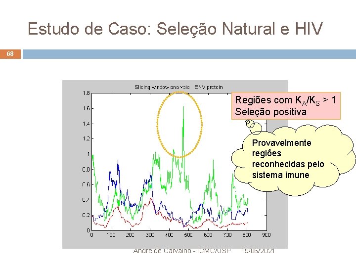 Estudo de Caso: Seleção Natural e HIV 68 Regiões com KA/KS > 1 Seleção