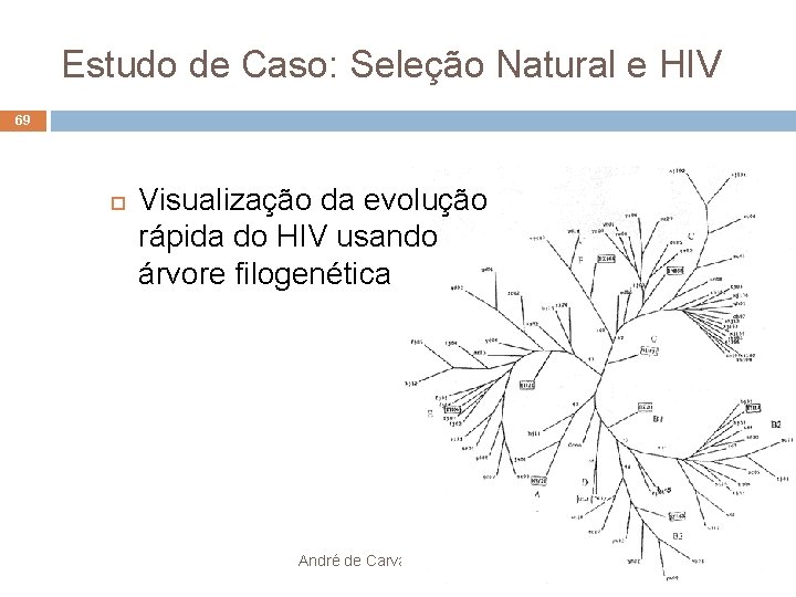 Estudo de Caso: Seleção Natural e HIV 69 Visualização da evolução rápida do HIV