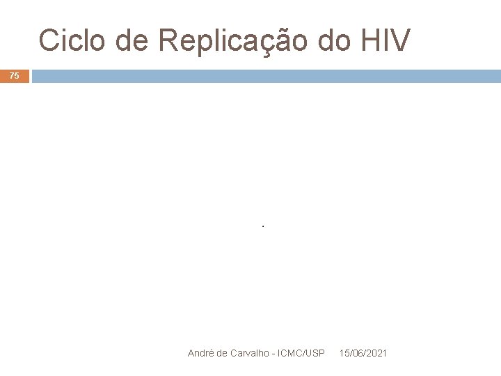 Ciclo de Replicação do HIV 75 André de Carvalho - ICMC/USP 15/06/2021 