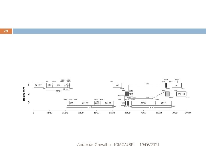 79 André de Carvalho - ICMC/USP 15/06/2021 