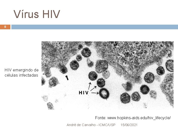 Vírus HIV 8 HIV emergindo de células infectadas Fonte: www. hopkins-aids. edu/hiv_lifecycle/ André de