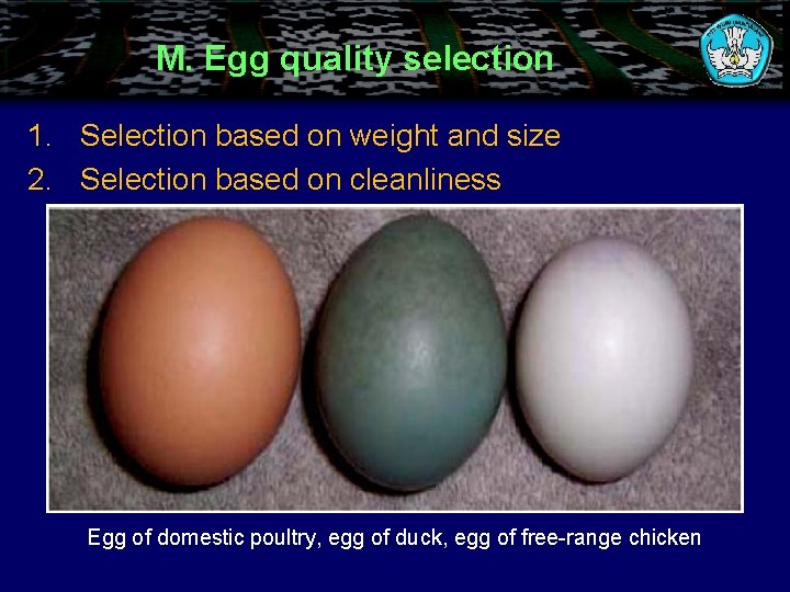 M. Egg quality selection 1. Selection based on weight and size 2. Selection based