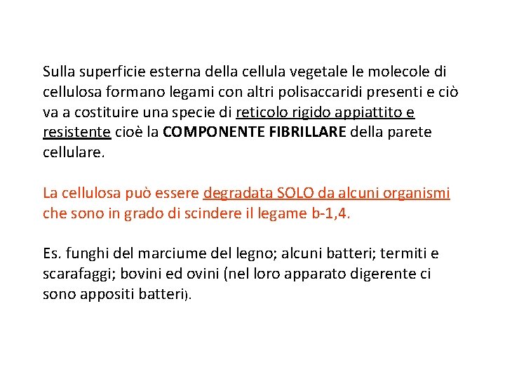 Sulla superficie esterna della cellula vegetale le molecole di cellulosa formano legami con altri