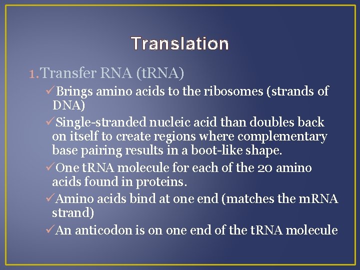 Translation 1. Transfer RNA (t. RNA) Brings amino acids to the ribosomes (strands of