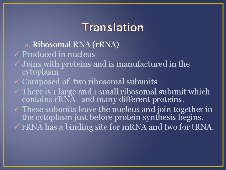 Translation 2. Ribosomal RNA (r. RNA) Produced in nucleus Joins with proteins and is