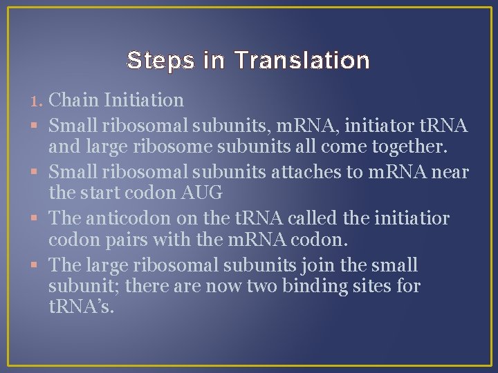 Steps in Translation 1. Chain Initiation Small ribosomal subunits, m. RNA, initiator t. RNA