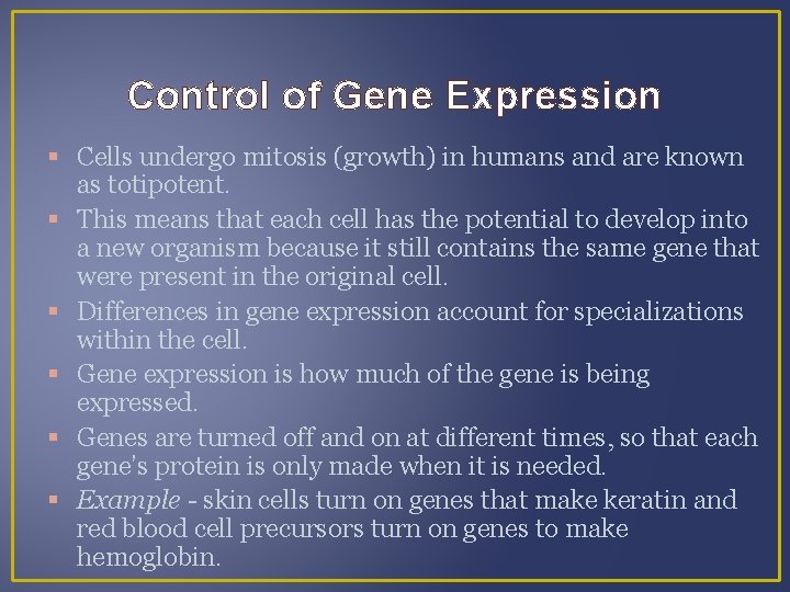 Control of Gene Expression Cells undergo mitosis (growth) in humans and are known as