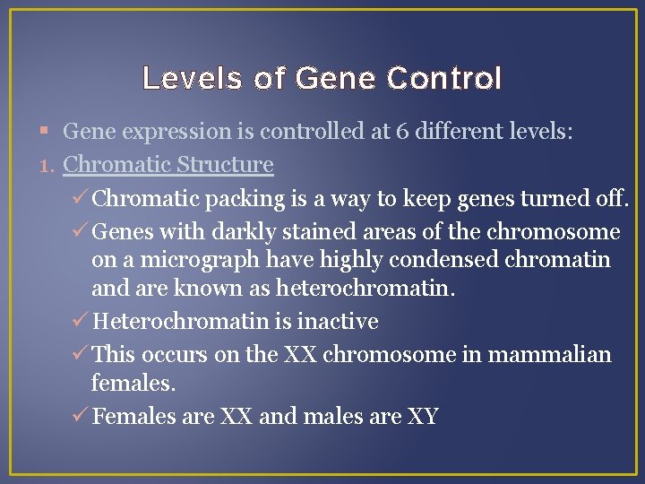 Levels of Gene Control Gene expression is controlled at 6 different levels: 1. Chromatic