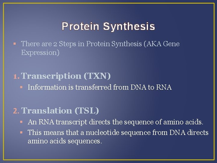 Protein Synthesis There are 2 Steps in Protein Synthesis (AKA Gene Expression) 1. Transcription