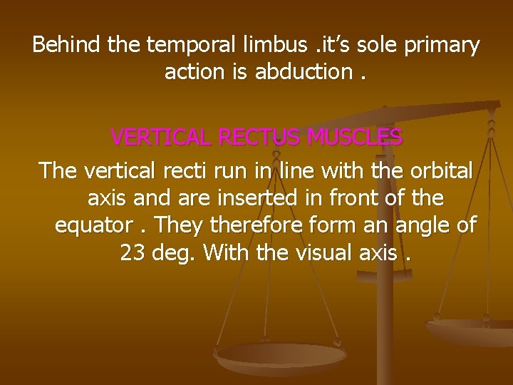 Behind the temporal limbus. it’s sole primary action is abduction. VERTICAL RECTUS MUSCLES The