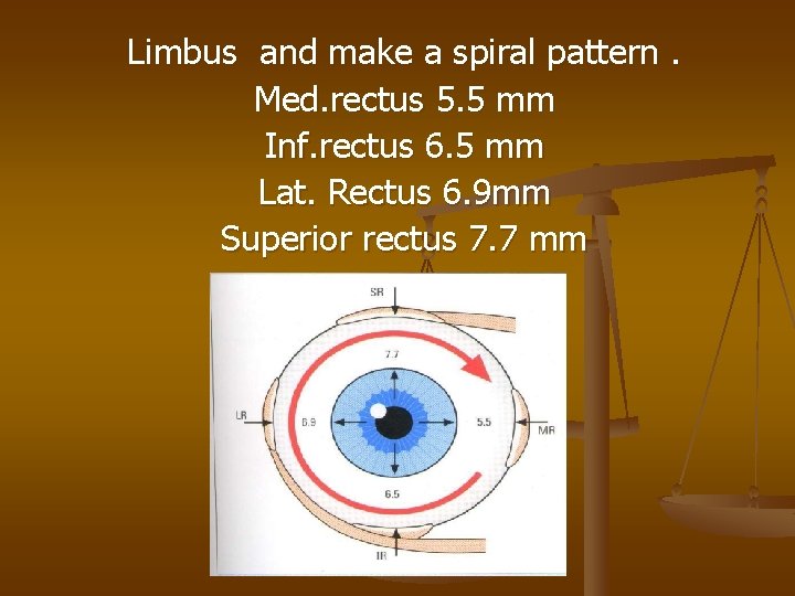 Limbus and make a spiral pattern. Med. rectus 5. 5 mm Inf. rectus 6.