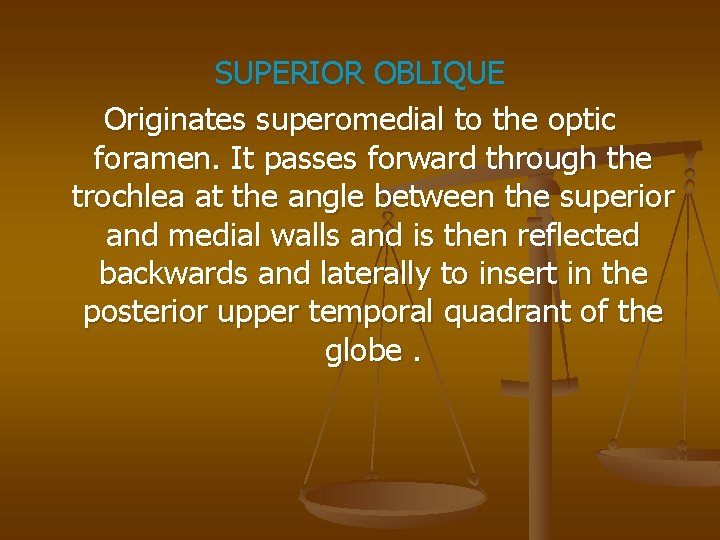 SUPERIOR OBLIQUE Originates superomedial to the optic foramen. It passes forward through the trochlea