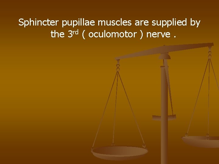 Sphincter pupillae muscles are supplied by the 3 rd ( oculomotor ) nerve. 