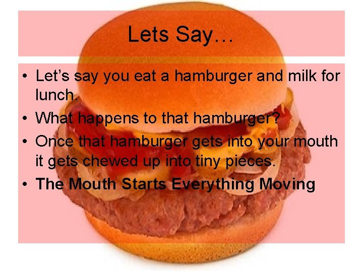 Lets Say… • Let’s say you eat a hamburger and milk for lunch. • Lets Say… • Let’s say you eat a hamburger and milk for lunch. •