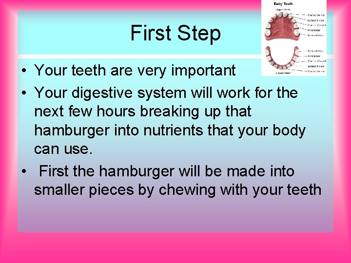 First Step • Your teeth are very important • Your digestive system will work First Step • Your teeth are very important • Your digestive system will work