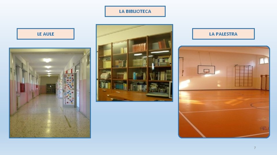 LA BIBLIOTECA LE AULE LA PALESTRA 7 