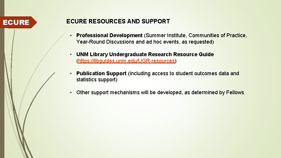 ECURE RESOURCES AND SUPPORT • Professional Development (Summer Institute, Communities of Practice, Year-Round Discussions
