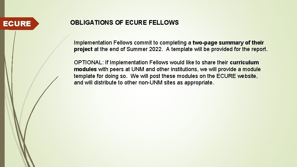 ECURE OBLIGATIONS OF ECURE FELLOWS Implementation Fellows commit to completing a two-page summary of