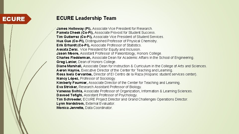 ECURE Leadership Team James Holloway (PI), Associate Vice President for Research. Pamela Cheek (Co-PI),