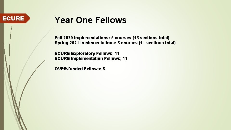 ECURE Year One Fellows Fall 2020 Implementations: 5 courses (16 sections total) Spring 2021