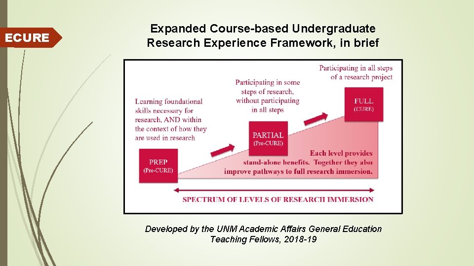 ECURE Expanded Course-based Undergraduate Research Experience Framework, in brief Developed by the UNM Academic