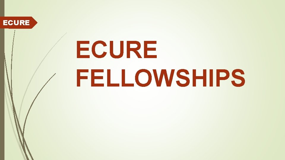 ECURE FELLOWSHIPS 