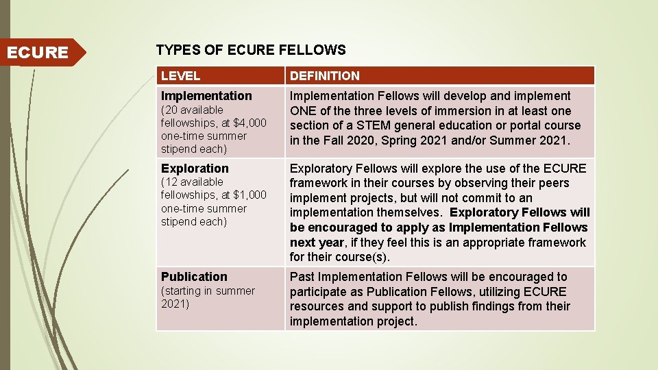 ECURE TYPES OF ECURE FELLOWS LEVEL DEFINITION Implementation Fellows will develop and implement ONE
