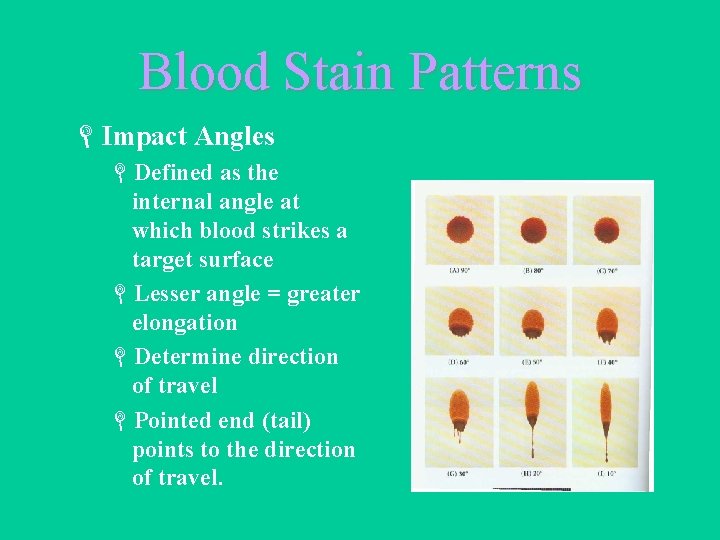 Blood Stain Patterns LImpact Angles LDefined as the internal angle at which blood strikes