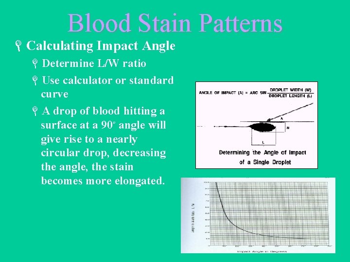Blood Stain Patterns LCalculating Impact Angle LDetermine L/W ratio LUse calculator or standard curve