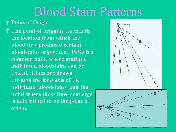 Blood Stain Patterns L Point of Origin L The point of origin is essentially