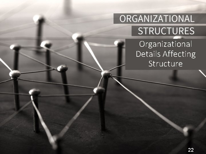 Organizational Details Affecting Structure 22 
