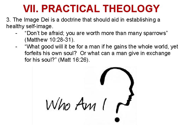 VII. PRACTICAL THEOLOGY 3. The Image Dei is a doctrine that should aid in