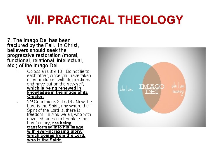 VII. PRACTICAL THEOLOGY 7. The Imago Dei has been fractured by the Fall. In
