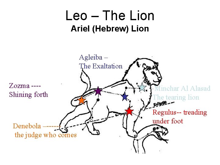 Leo – The Lion Ariel (Hebrew) Lion Agleiba – The Exaltation Zozma ---Shining forth