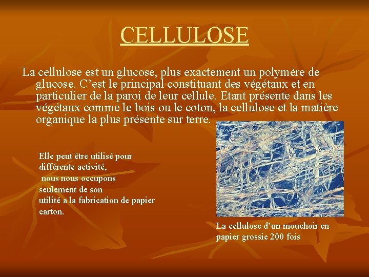 CELLULOSE La cellulose est un glucose, plus exactement un polymère de glucose. C’est le