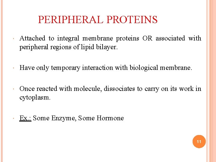 PERIPHERAL PROTEINS Attached to integral membrane proteins OR associated with peripheral regions of lipid PERIPHERAL PROTEINS Attached to integral membrane proteins OR associated with peripheral regions of lipid